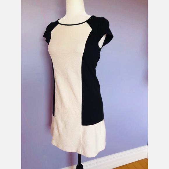 Anthropologie Maeve Corby Shift Dress - Picture 4 of 7